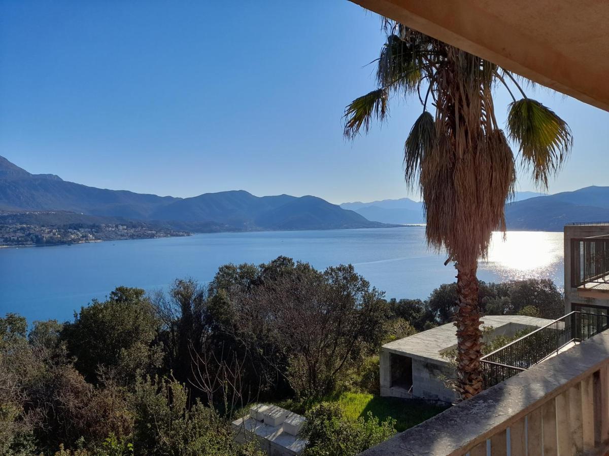 Villa Garden Apartments Herceg Novi Eksteriør billede