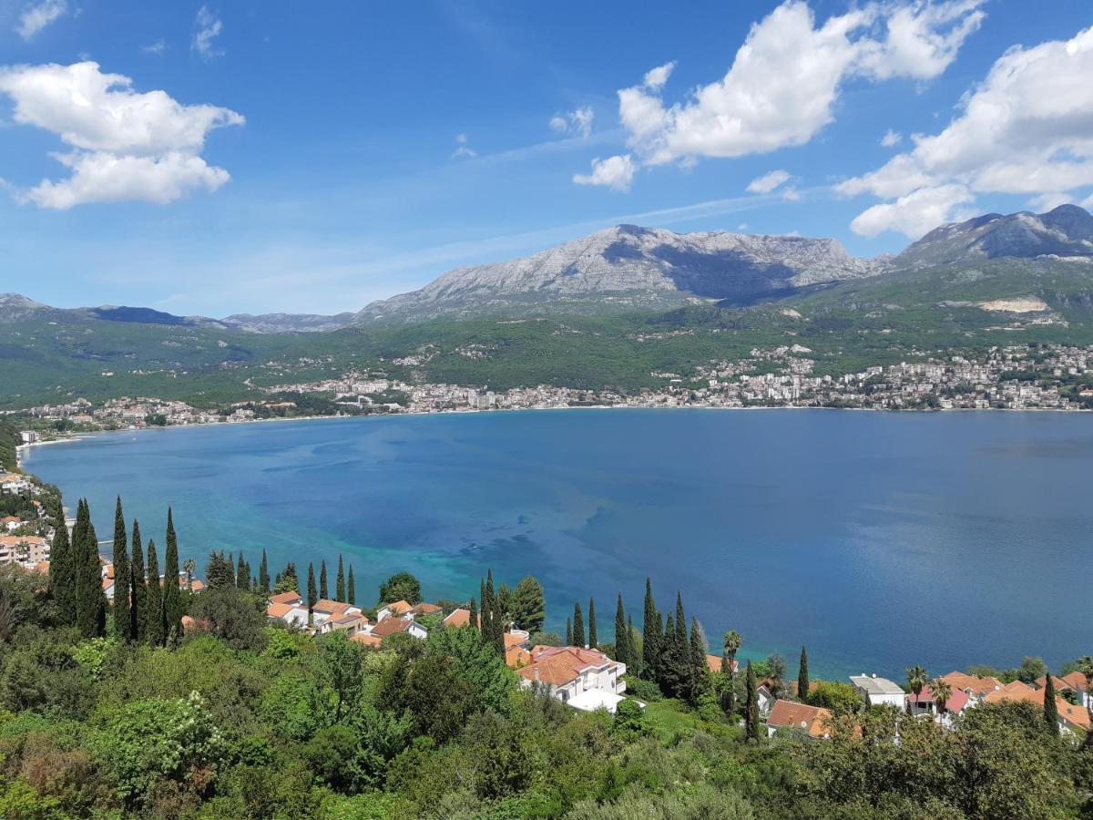 Villa Garden Apartments Herceg Novi Eksteriør billede