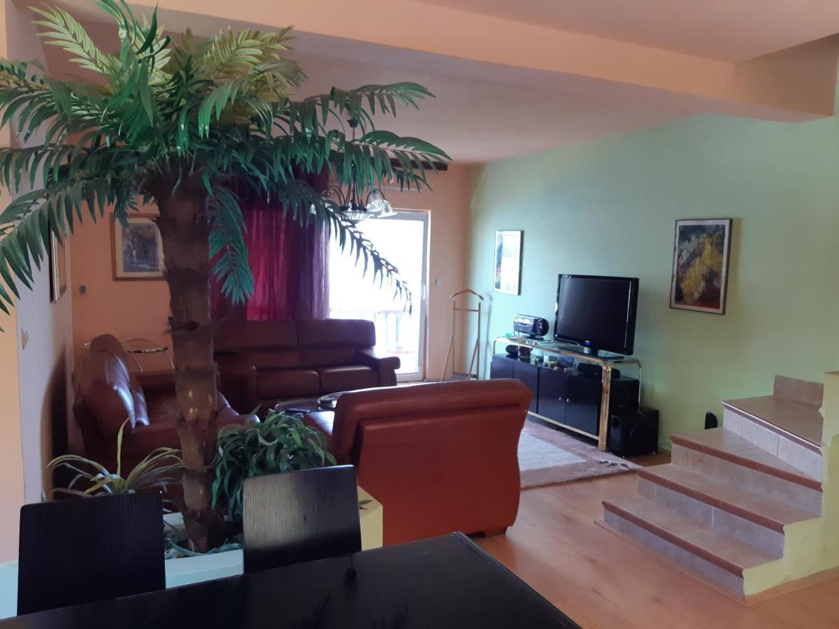 Villa Garden Apartments Herceg Novi Eksteriør billede