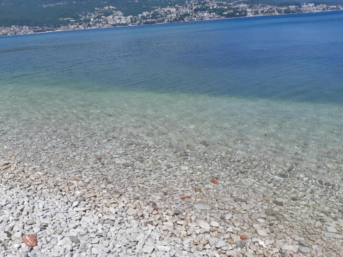 Villa Garden Apartments Herceg Novi Eksteriør billede