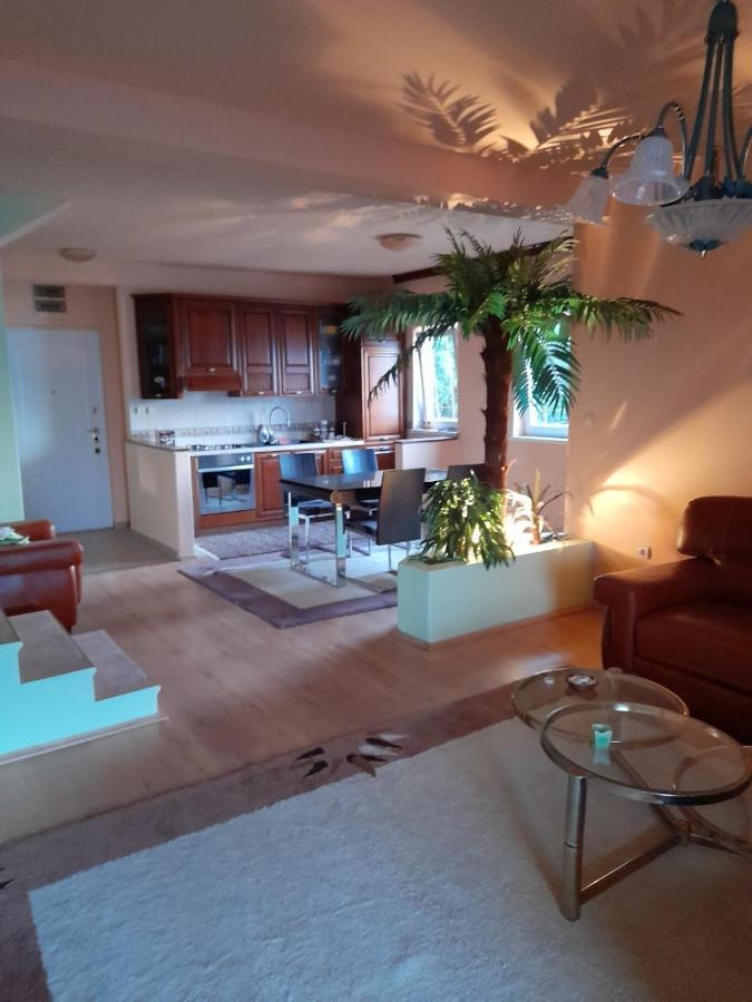 Villa Garden Apartments Herceg Novi Eksteriør billede