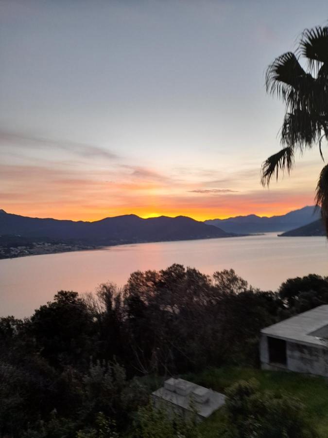 Villa Garden Apartments Herceg Novi Eksteriør billede